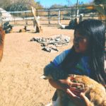 animal sanctuary camping – second day